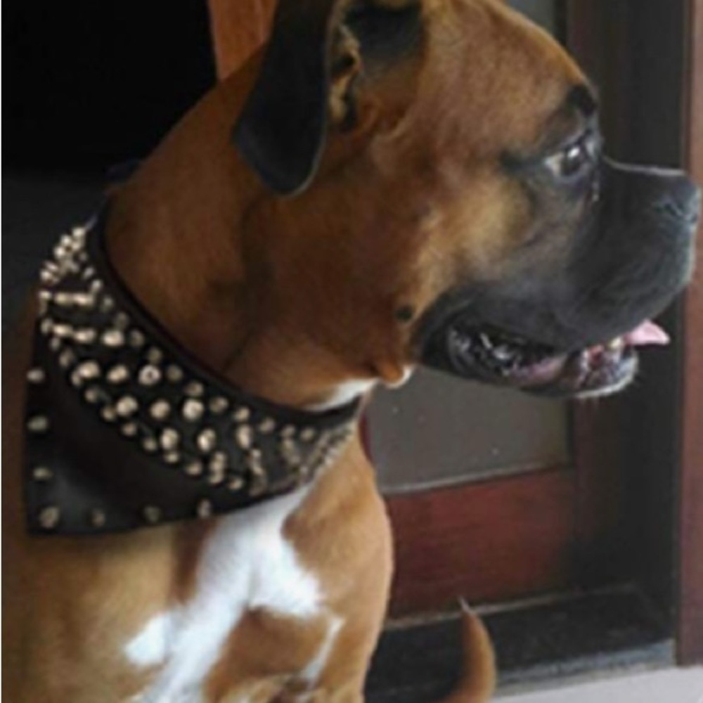 New Leather Dog Bandana Scarf Bibs Collar.  Spikes. Spiked Dog Collar. Biker